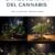 Regulación del Cannabis en México