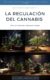 Regulación del Cannabis en México