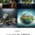 Los Procesos y Procedimientos Ambientales en el Contexto del Medio Ambiente y Desarrollo Sustentable