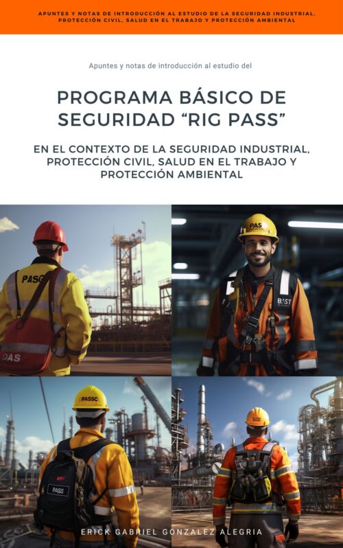Programa Básico de Seguridad RIG PASS