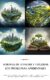 El Hombre y el Ambiente en el Contexto del Medio Ambiente y Desarrollo Sustentable
