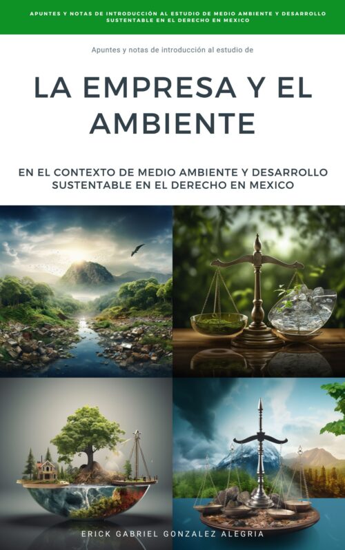 La Empresa y el Ambiente en el Contexto del Medio Ambiente y Desarrollo Sustentable