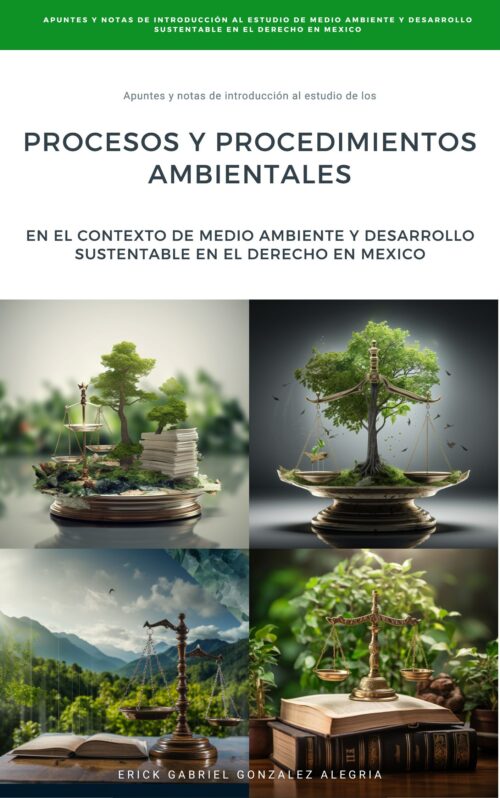 Los Procesos y Procedimientos Ambientales en el Contexto del Medio Ambiente y Desarrollo Sustentable