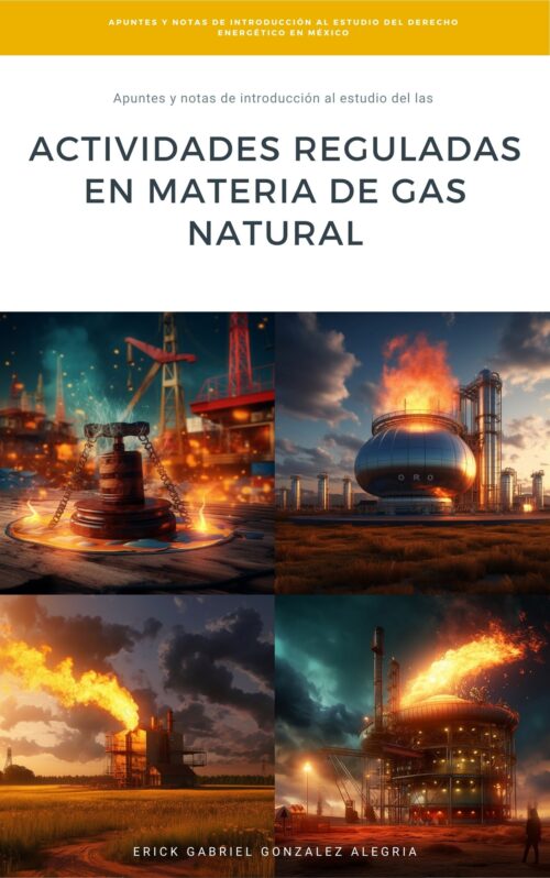 Actividades Reguladas en materia de Gas Natural