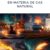Actividades Reguladas en materia de Gas Natural