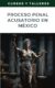 istema de Justicia Penal Acusatorio en México: Guía Completa