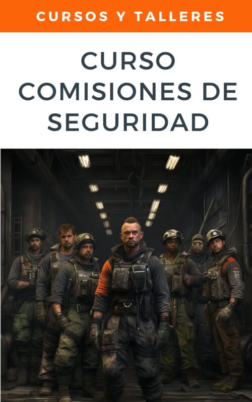 Aquí tienes la redacción optimizada para el producto "Curso Comisiones de Seguridad: Formación para una Gestión Eficiente