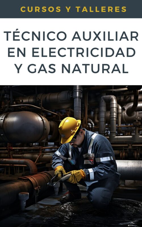 Curso Técnico Auxiliar en Electricidad y Gas Natural